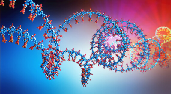 3d illustration of a  part of RNA chain from which the deoxyribonucleic acid or DNA is composed